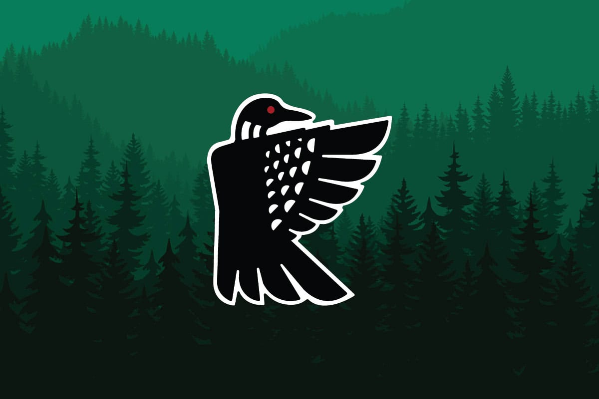 Mn Out Of Doors- February 2026